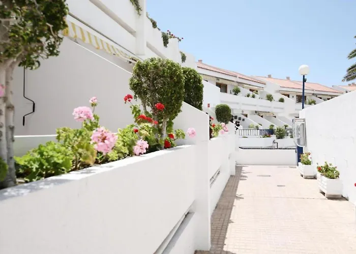 De 2 Con Piscina En Apartmanhotel Costa Adeje (Tenerife)